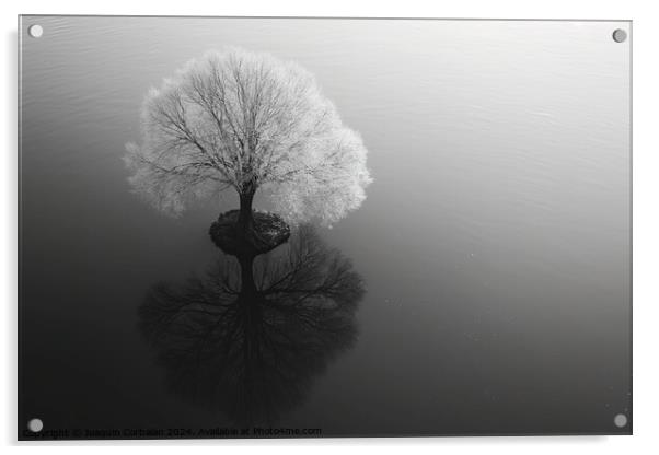 Artistic work, a tree in infrared, solitary in a strange perspective. Acrylic by Joaquin Corbalan