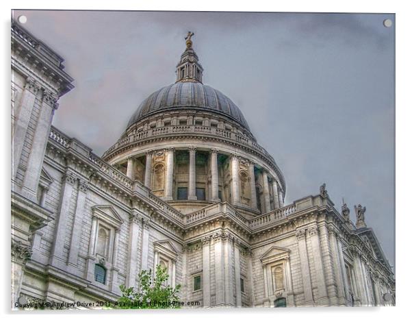St Paul's Cathedral Acrylic by Andrew Driver