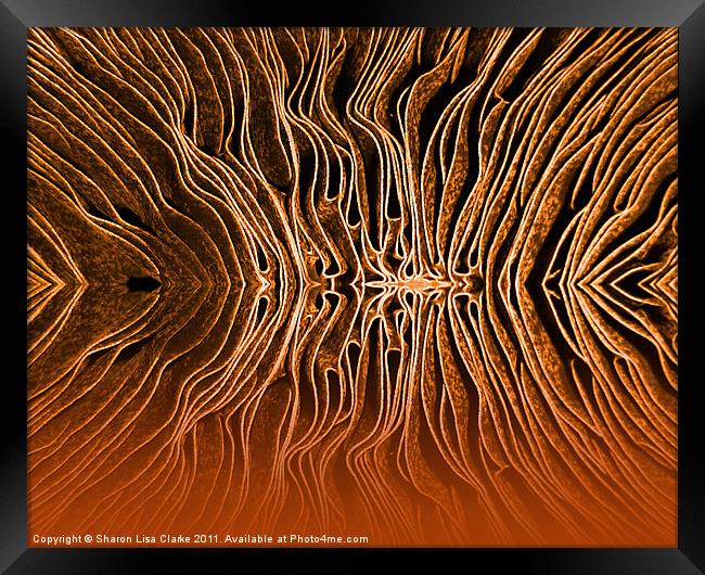 Mushroom Framed Print by Sharon Lisa Clarke