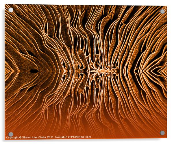 Mushroom Acrylic by Sharon Lisa Clarke