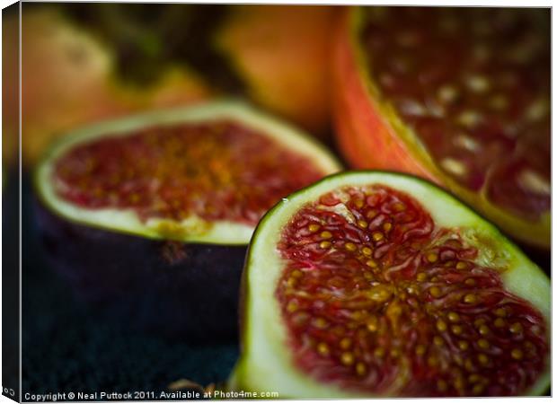 Figs & Pomegranate Canvas Print by Neal P