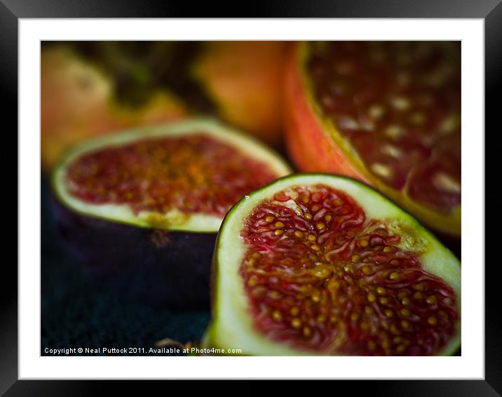 Figs & Pomegranate Framed Mounted Print by Neal P