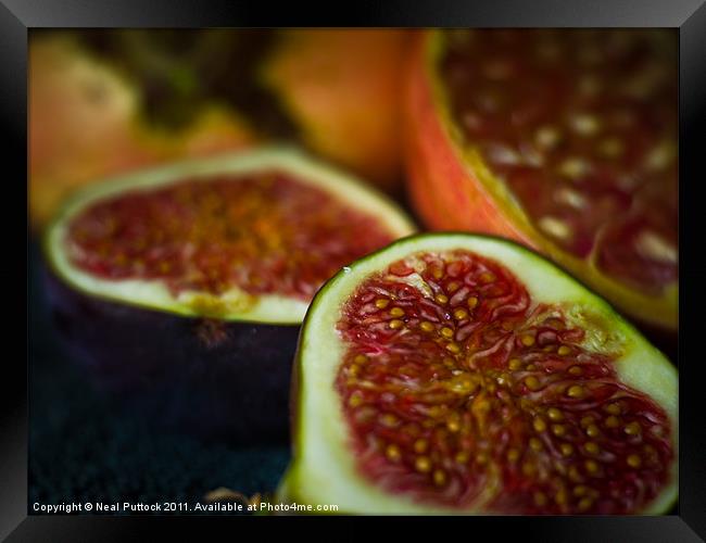 Figs & Pomegranate Framed Print by Neal P
