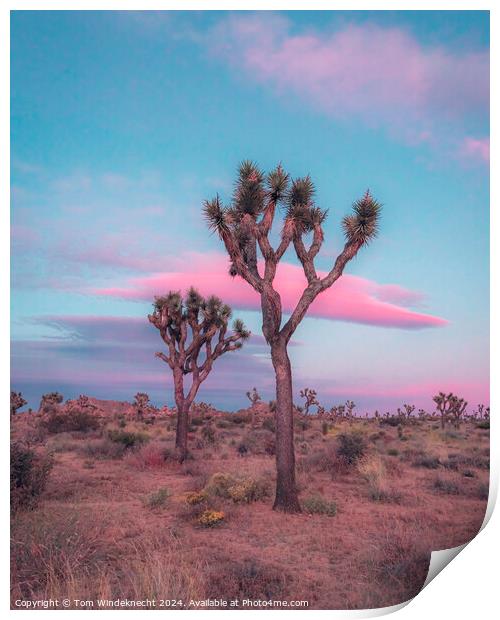 Dreamy Pastel Sunset in Joshua Tree Print by Tom Windeknecht