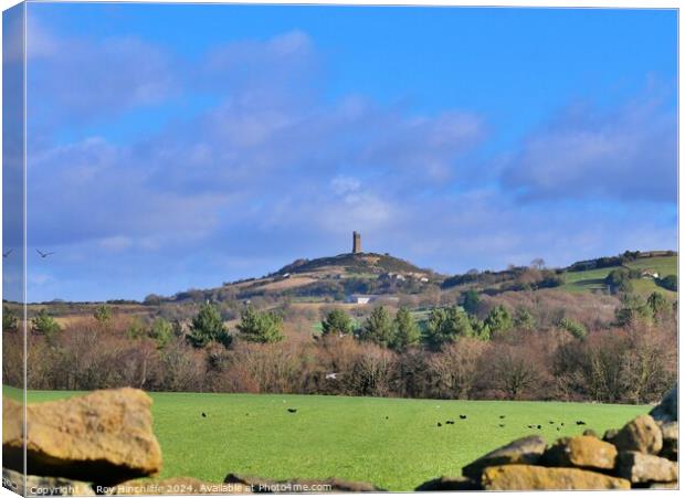 Castle Hill  Canvas Print by Roy Hinchliffe