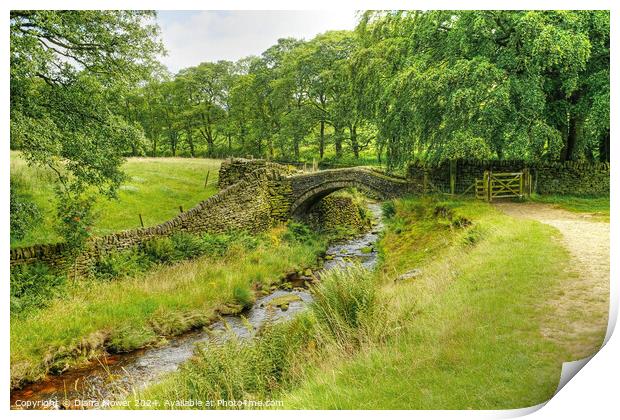 Eastergate Bridge Marsden Moor Yorkshire Print by Diana Mower