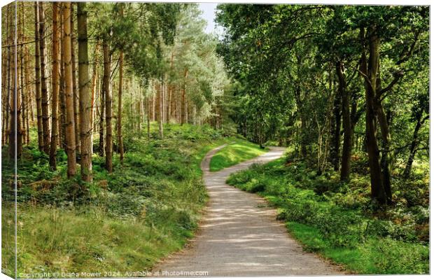 Cannock Chase Woodland Path Canvas Print by Diana Mower