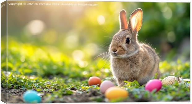 A nice bunny in the field has found Easter eggs on Canvas Print by Joaquin Corbalan