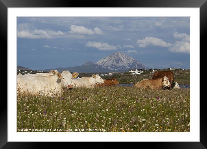 Lie down in green pastures in Donegal Framed Mounted Print by David McFarland