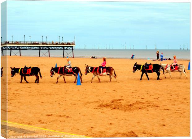 Beach Donkey Rides. Canvas Print by john hill