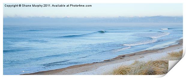 A Cold Morning at the Beach Print by Shane Murphy