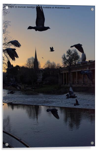 Pigeons in flight in Bath Acrylic by Duncan Savidge