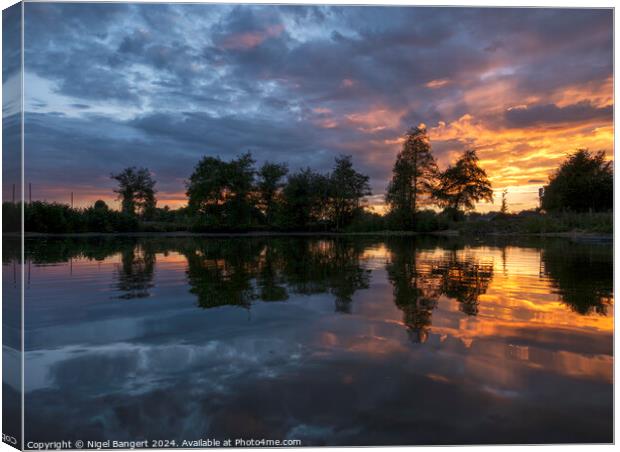 Matching Green Pond Sunset Canvas Print by Nigel Bangert