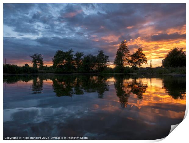 Matching Green Pond Sunset Print by Nigel Bangert