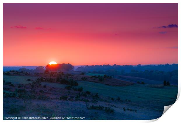 Sunset Over Friends Clump, Ashdown Forest Print by Chris Richards