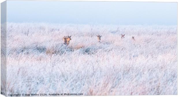 Deer in hoar frost Canvas Print by Kay Roxby