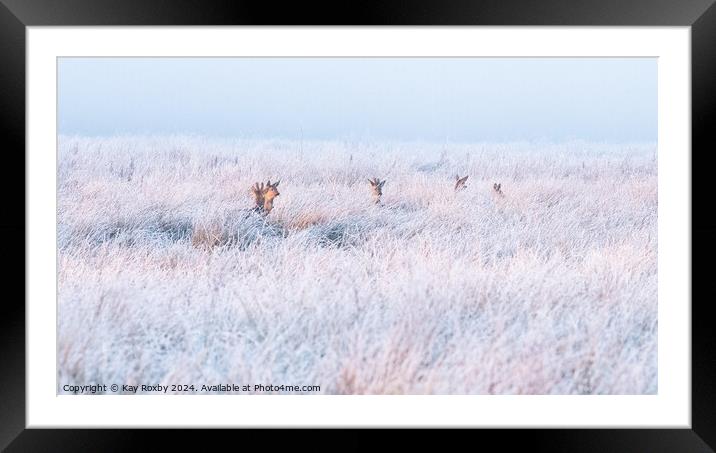 Deer in hoar frost Framed Mounted Print by Kay Roxby