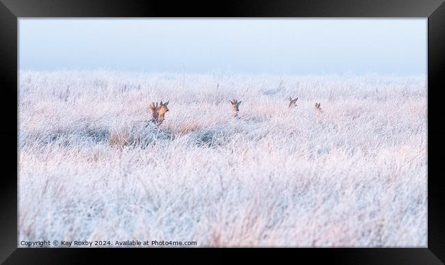 Deer in hoar frost Framed Print by Kay Roxby