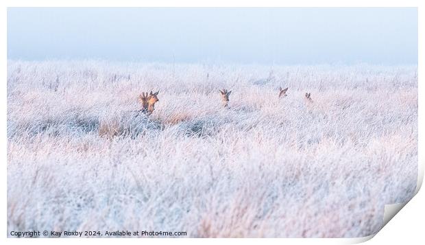 Deer in hoar frost Print by Kay Roxby