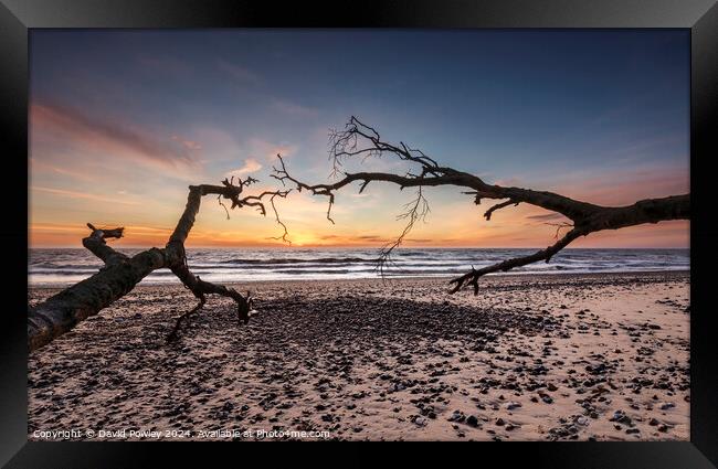 Covehithe Beach at Sunrise Framed Print by David Powley