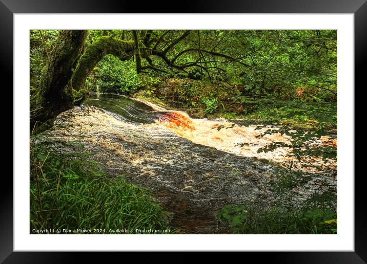 Hebden Beck near Hardcastle Crags Framed Mounted Print by Diana Mower