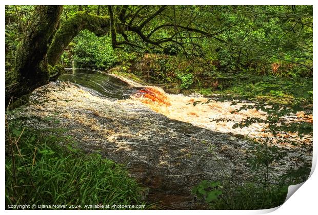 Hebden Beck near Hardcastle Crags Print by Diana Mower