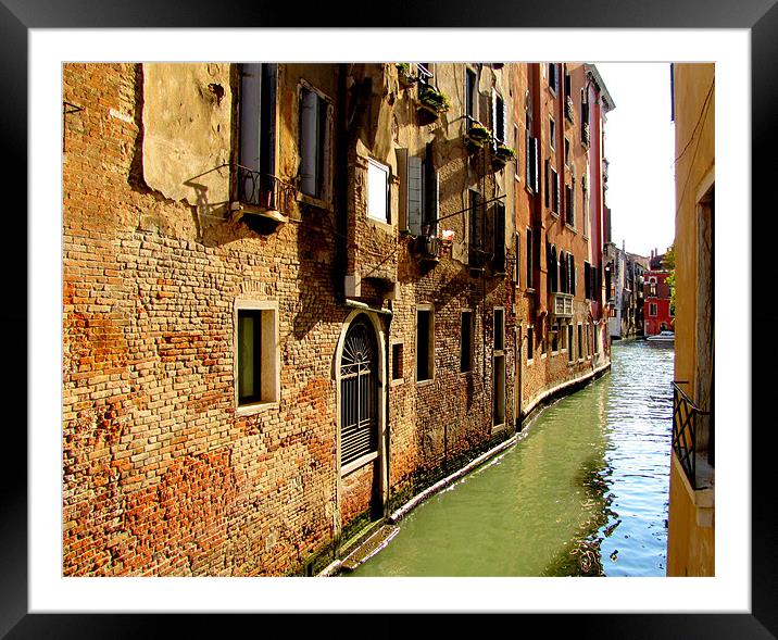 Venice Framed Mounted Print by barbara walsh