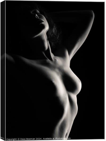 Nude Study No12 Canvas Print by Dave Bowman