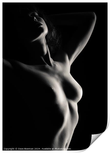 Nude Study No12 Print by Dave Bowman
