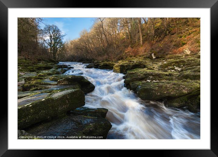 Bolton abbey estate and the river Wharfe strid 1042 Framed Mounted Print by PHILIP CHALK