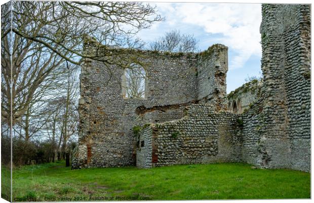 Priory of St Mary in the meadow Canvas Print by Chris Yaxley
