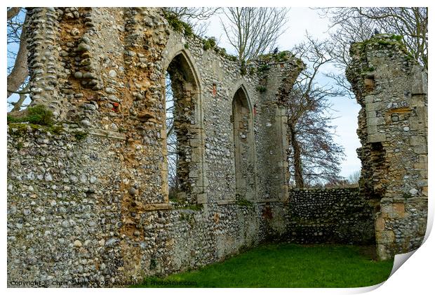 The Priory of St Mary in the MEadow Print by Chris Yaxley
