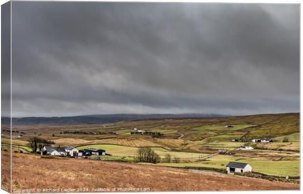 Bright and Damp Harwood, Upper Teesdale Canvas Print by Richard Laidler