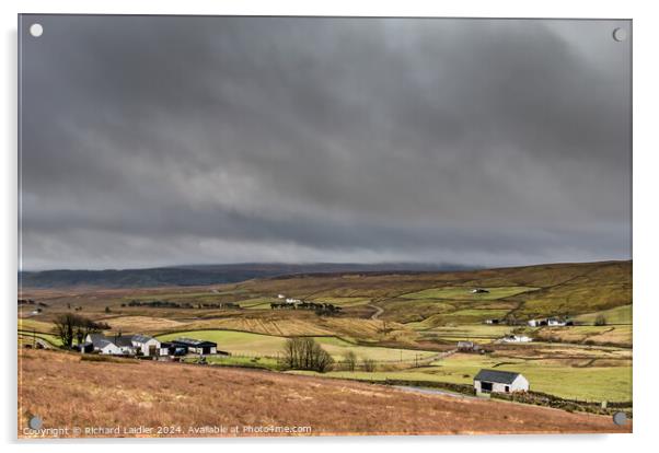 Bright and Damp Harwood, Upper Teesdale Acrylic by Richard Laidler