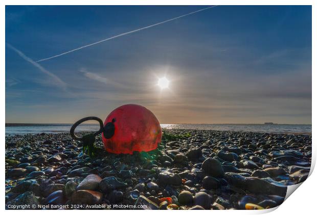 Buoy  Print by Nigel Bangert