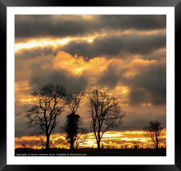Tree silhouettes  at sunrise  Framed Mounted Print by Simon Johnson