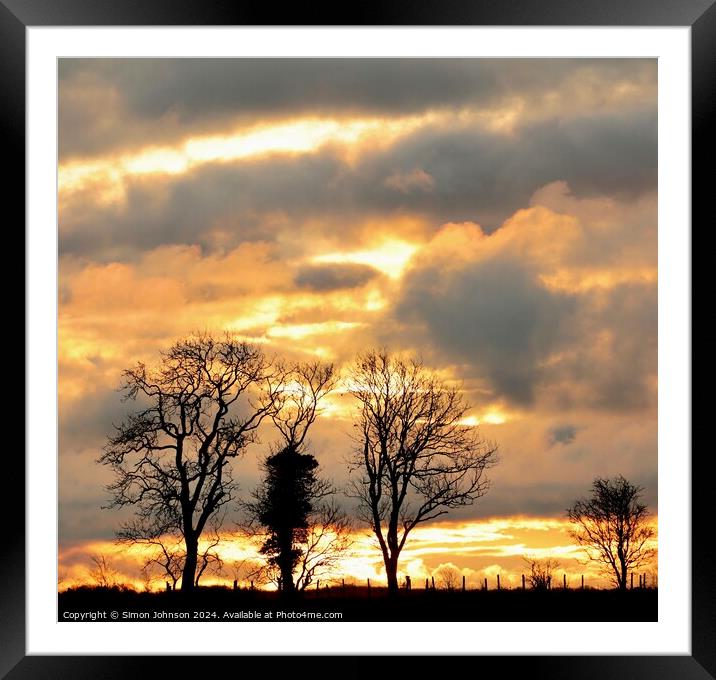 tree silhouettes  Framed Mounted Print by Simon Johnson