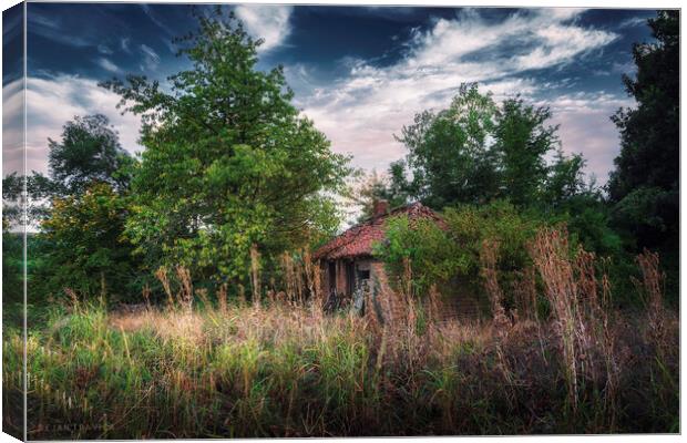 An abandoned hut hidden in the bushes Canvas Print by Dejan Travica