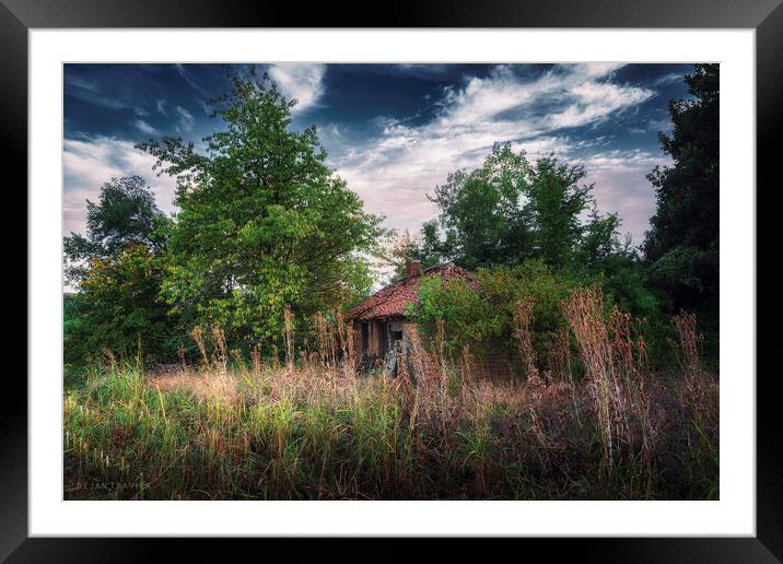 An abandoned hut hidden in the bushes Framed Mounted Print by Dejan Travica