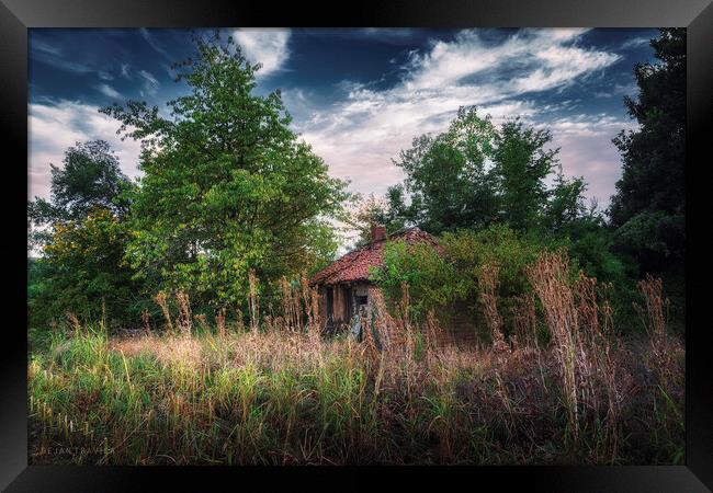 An abandoned hut hidden in the bushes Framed Print by Dejan Travica