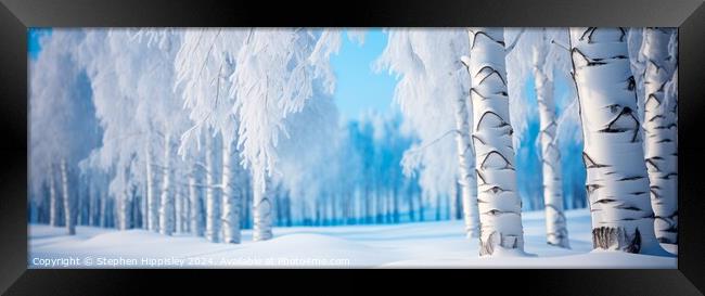 Silver Birch trees in the depths of winter Framed Print by Stephen Hippisley