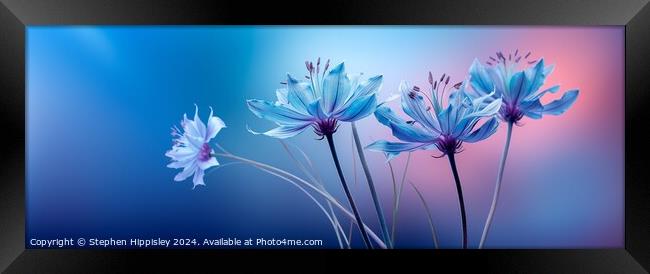 A group of Pale blue Monarda flowers. Framed Print by Stephen Hippisley