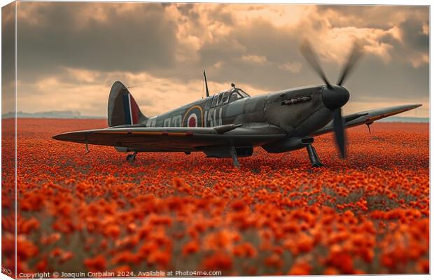 Classic spitfire aircraft, perched in a field of red poppies celebrating the Battle of Britain Memorial Canvas Print by Joaquin Corbalan
