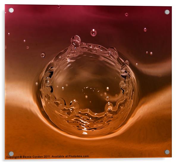 Splash1 Acrylic by Bernie Condon