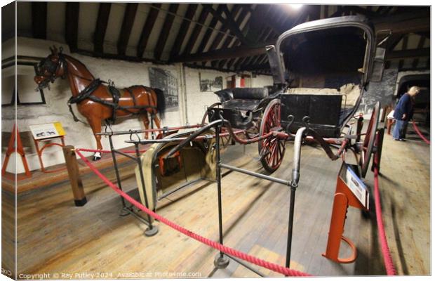 Tyrwhitt-drake Museum of Carriages – England, UK. Canvas Print by Ray Putley