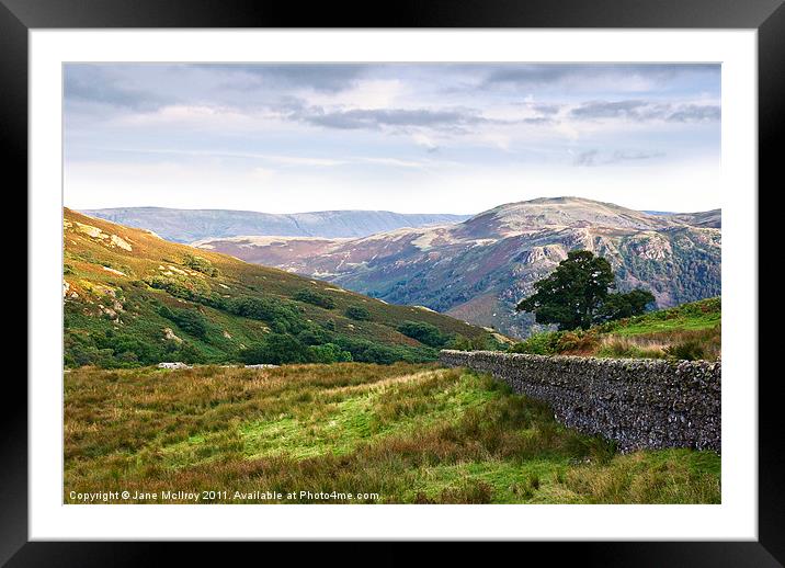 Borrowdale Valley, Lake District, Cumbria Framed Mounted Print by Jane McIlroy