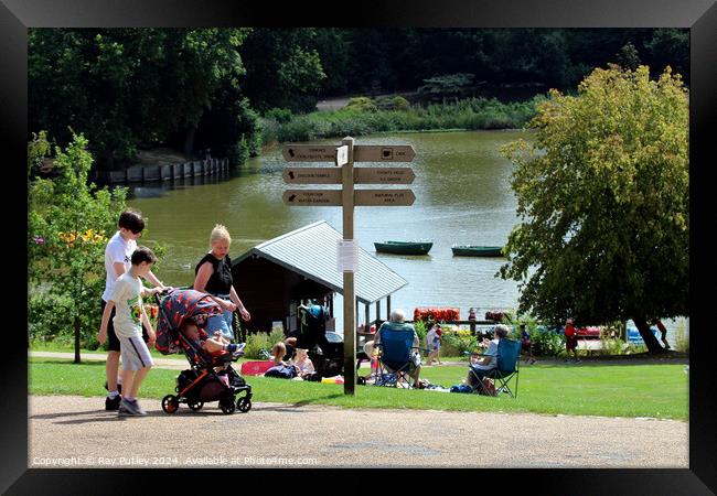 Dunorlan Park – England, UK. Framed Print by Ray Putley