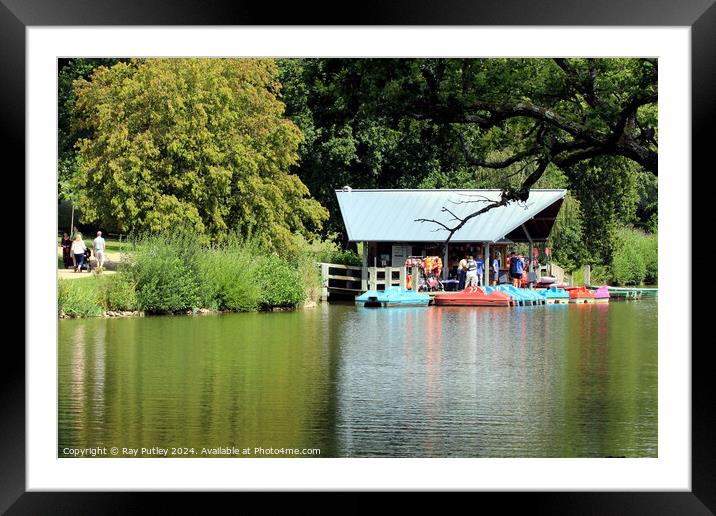 Dunorlan Park – England, UK. Framed Mounted Print by Ray Putley