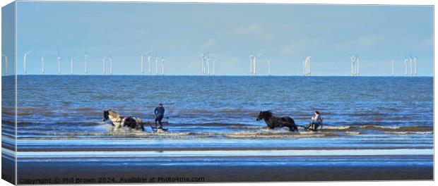 Horses trotting in the sea, Solway Firth.  Canvas Print by Phil Brown