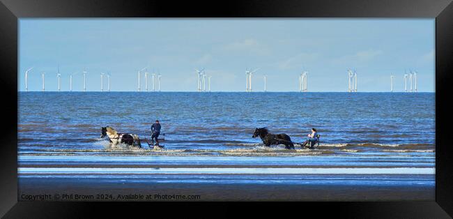 Horses trotting in the sea, Solway Firth.  Framed Print by Phil Brown